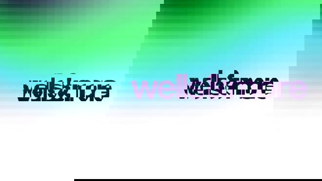 Wellandmore Video Preview