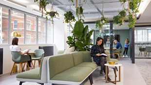 Elm Yard lounge L2