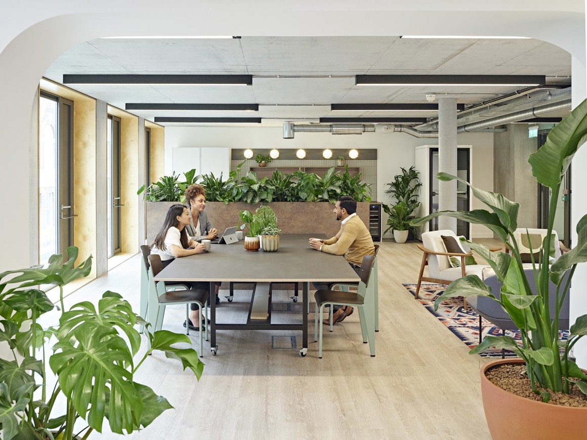 Woolyard unit 2