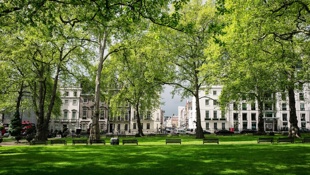Mayfair