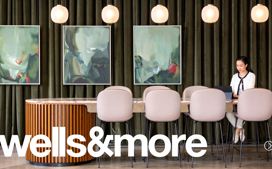 Wellsandmore Brochure Preview