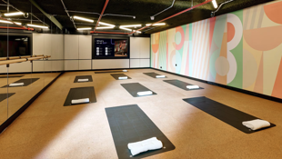 Wellness space