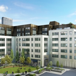 Development letting success