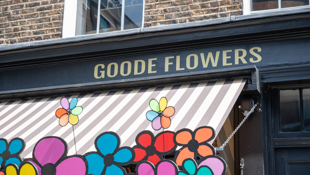 Fitzrovia - Goode Flowers